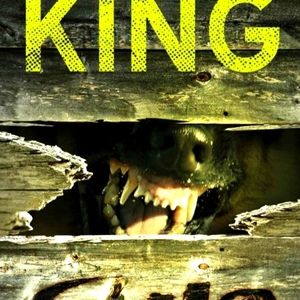 Book stephen king. 1981